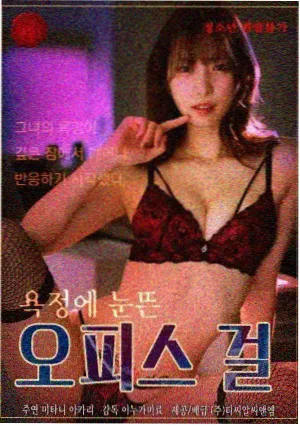 蜡笔小新 TV版 国语精选 第一季 封面
